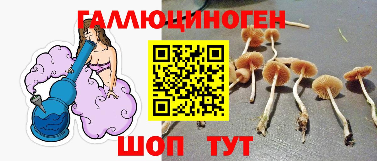 Галлюциногенные грибы Magic Shrooms  Вход с VPN  как найти наркотики  Кириши 